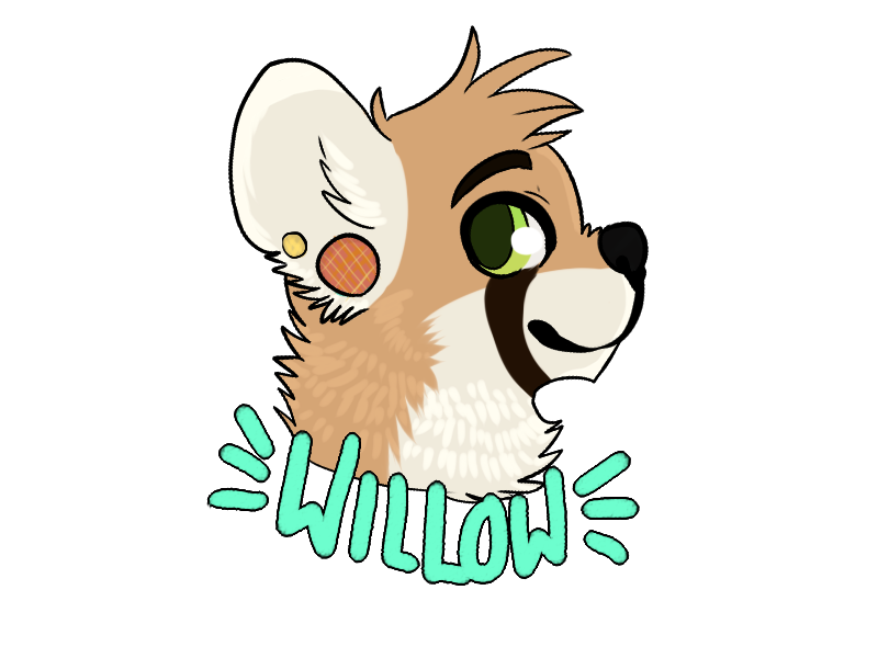 Willow Badge