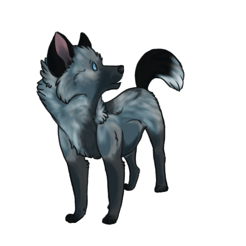 Silver Fox Chibi