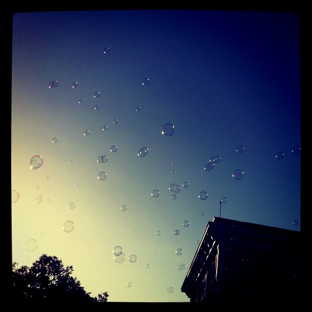 Dream Bubbles