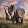 Rhinoceros Digital Art (animal study)