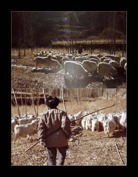 SheepherderAtGreatWall