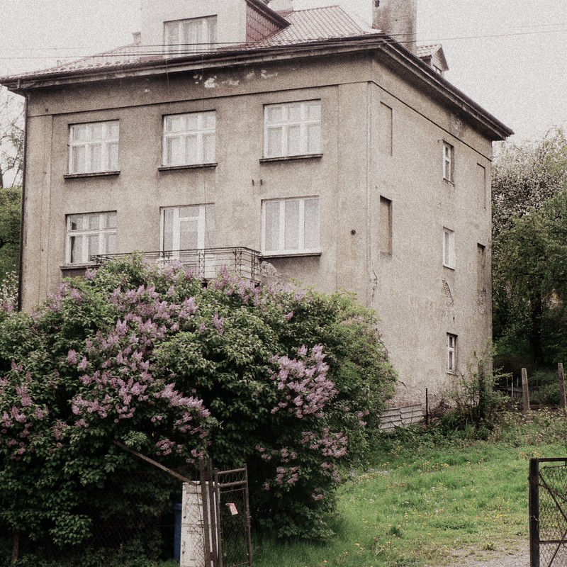 the old house and the lilac bush