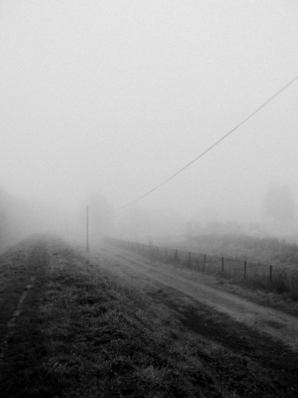 the morning fog 2