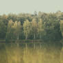 secret pond 2