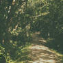 come with me to my magical place