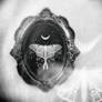 lunar moth II
