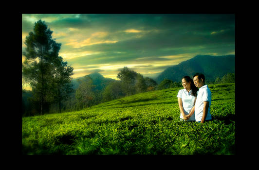 prewedding