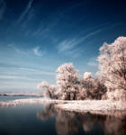 Color IR by DTokar