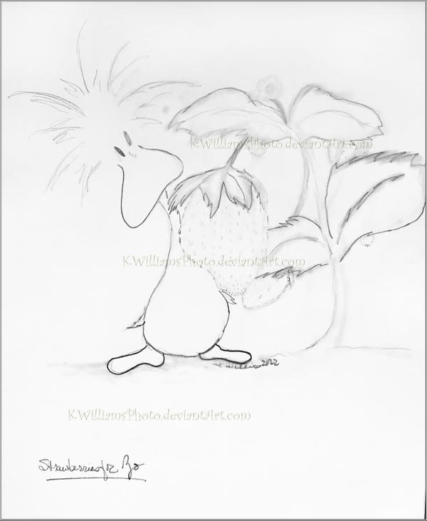 pencil sketch of zo duck eyeing a big ripe strawberry on a strawberry plant.