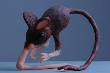 Snouter Explore the Best Snouters Art | DeviantArt