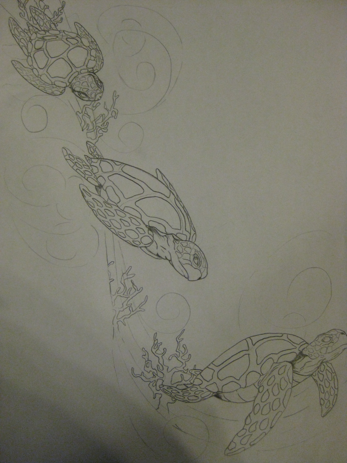 Turtle Wave Drawing Outline