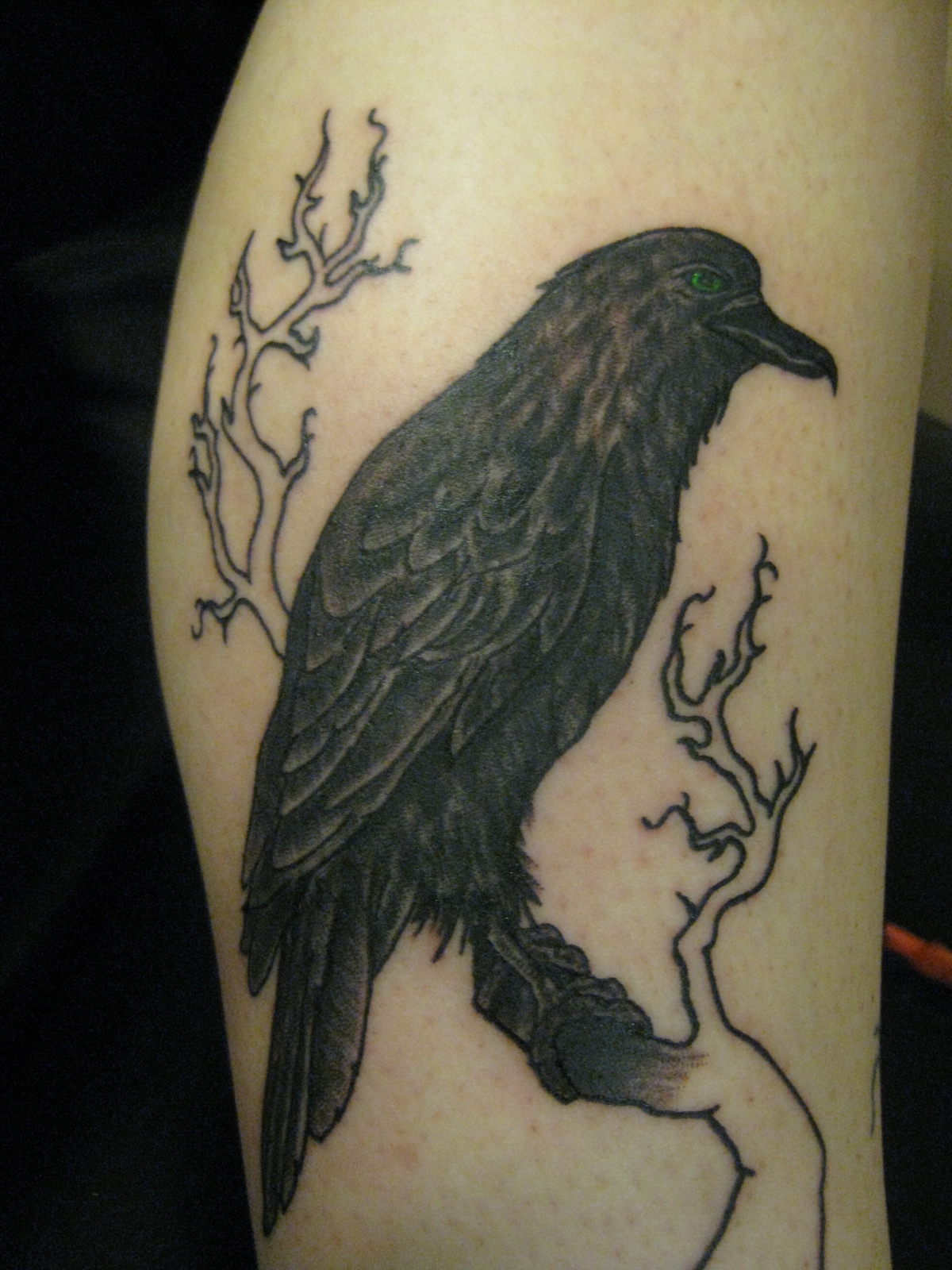 Crow In Tree Tattoo by iz4nidomp4in on DeviantArt Crow In Tree Tattoo by iz4nidomp4in on DeviantArt