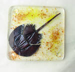 Horseshoe Crab Art Tile Fused Glass with Metal Inc by trilobiteglassworks