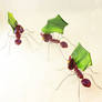 Fused Glass Leaf-Cutter Ants