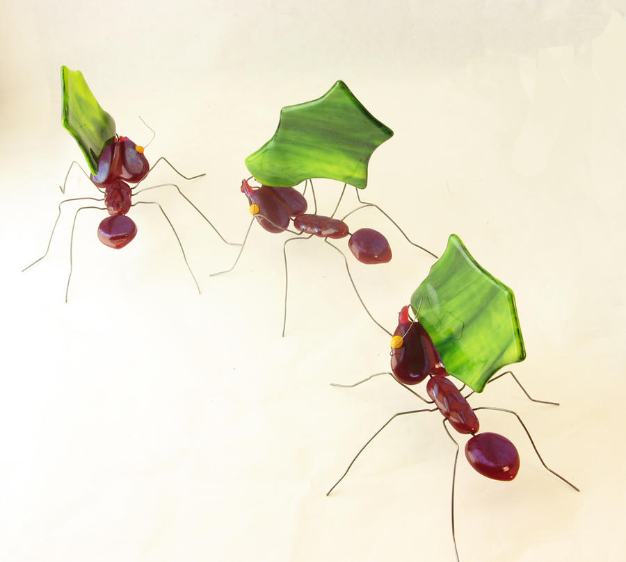 Fused Glass Leaf-Cutter Ants