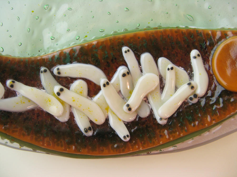 Fused Glass Leech Bowl 1 Closeup of baby leeches by