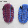 Fused Glass Phacops trilobite belt buckles