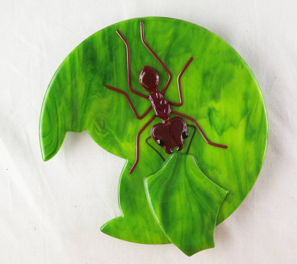 Leafcutter Ant fused glass plate by trilobiteglassworks