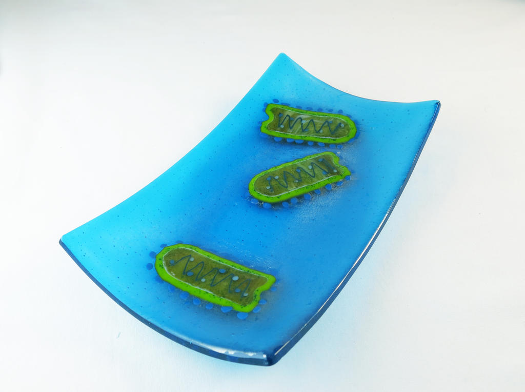 Vesicular stomatitis Virus Fused Glass Dish 2