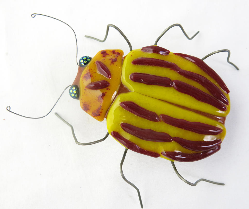 Colorado Potato Beetle  Fused Glass Sculpture 4
