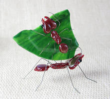 Leafcutter Ant Worker with Minima Guard