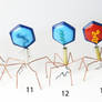 Bacteriophage set B