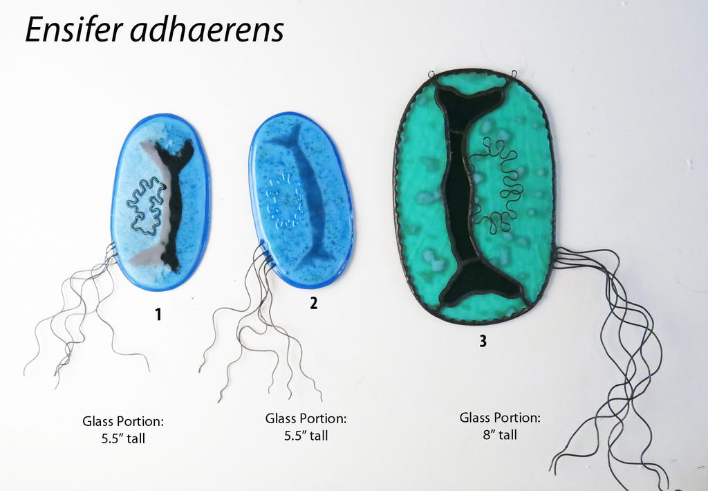 Ensifer Injection Ensifer adhaerens Bacteria Glass Ornaments by trilobiteglassworks on ...