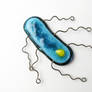 E. coli Bacteria Fused Glass Pins