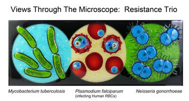Drug Resistant Microbes Fused Glass Panel