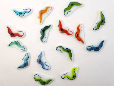 Trypanosoma Fused Glass Pins