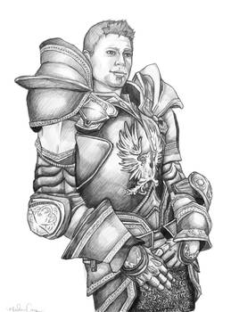 Alistair in Warden Armor