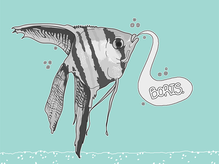 Pet Illustration: Boris the Angelfish