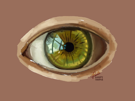 Human eye digital paint study in ArtRage