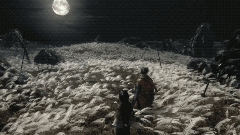 Sekiro-gif-1 by asdh1236usd on DeviantArt