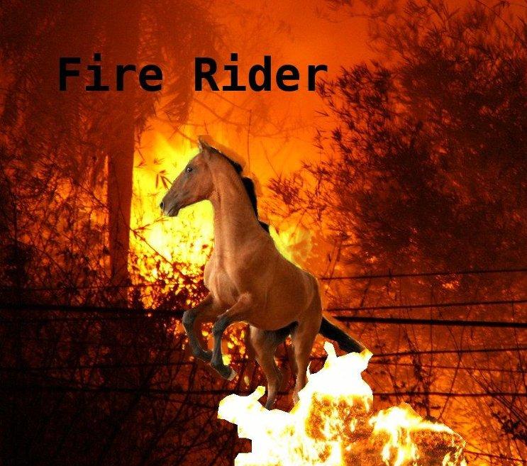 Horseland horse picture 3 by Haily742 on DeviantArt