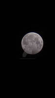 Lunar Eclipse March 25 2024