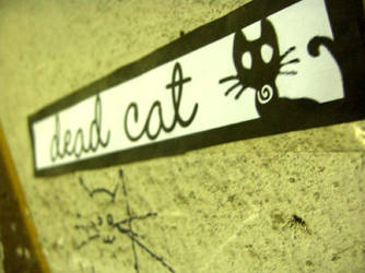 Dead cat society