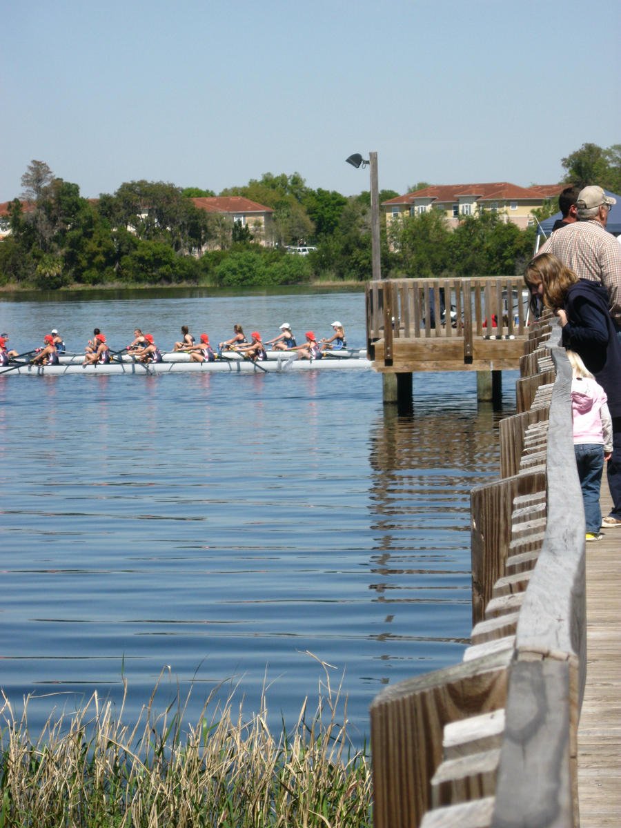 Spectating at the Regatta