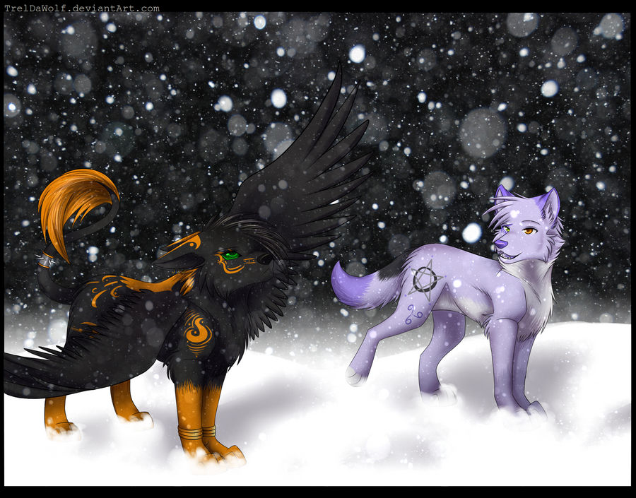 What is snow? -commish-