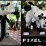 Pixel the Dutch Angel Dragon (fursuit)