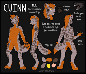 Cuinn reference sheet -commission-
