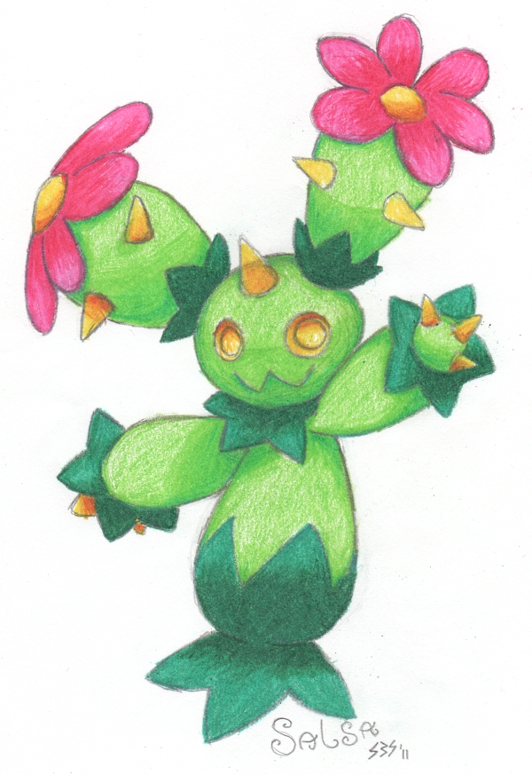 Maractus quicky