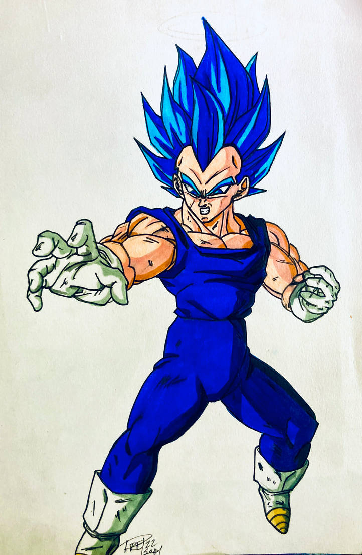 Vegeta Blue Evolution Controlled Bezerk by GoDBrEaKeRVeGeTaSaMa on ...