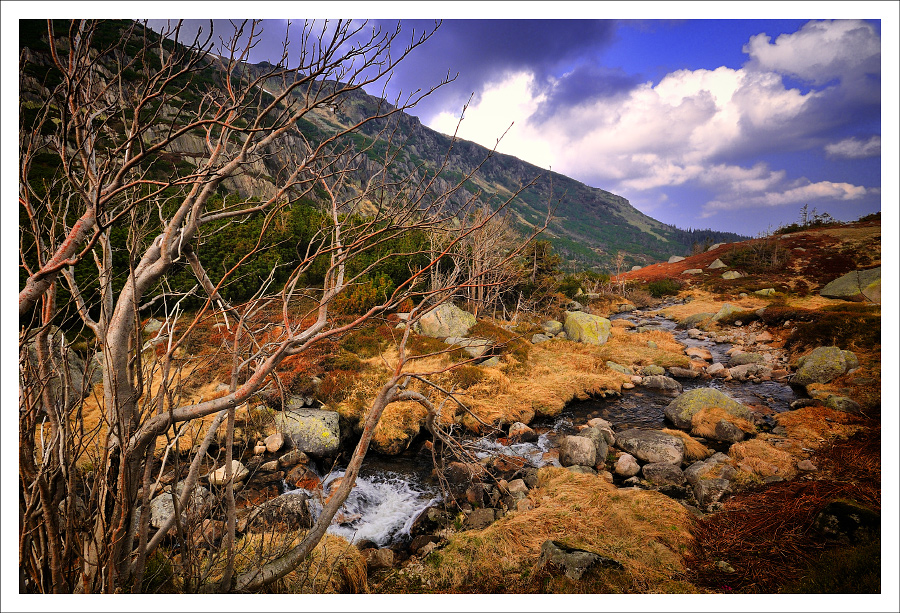 Karkonosze Mountains no81