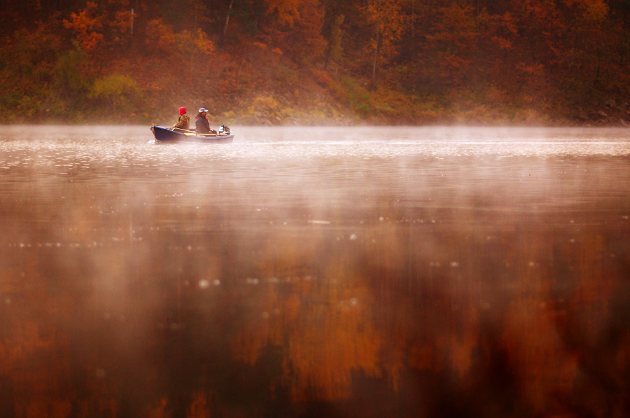 Autumn morning... 2