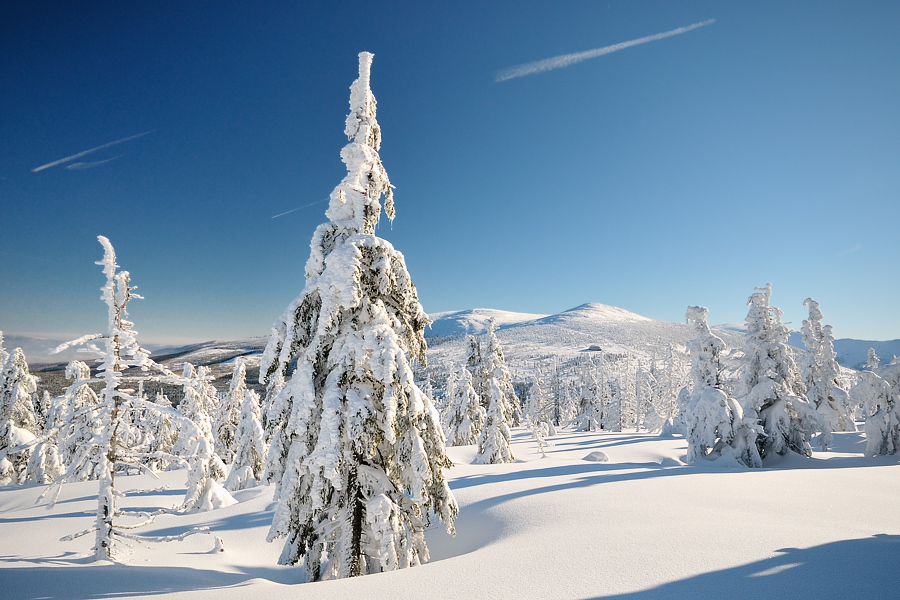 Karkonosze Mountains no130