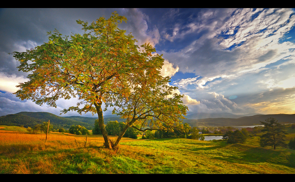 Karkonosze Mountains no132