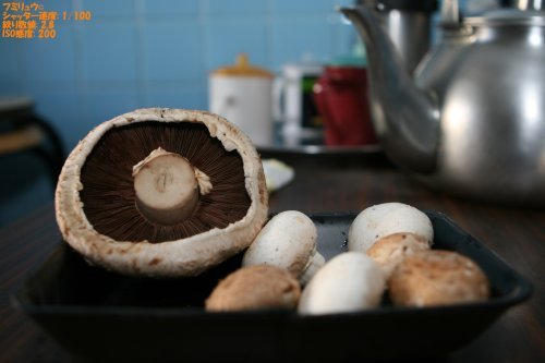 Portabello Mushroom Rear