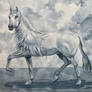 The Unicorn and the shallow sea