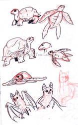 Bats and Turtles Sketches